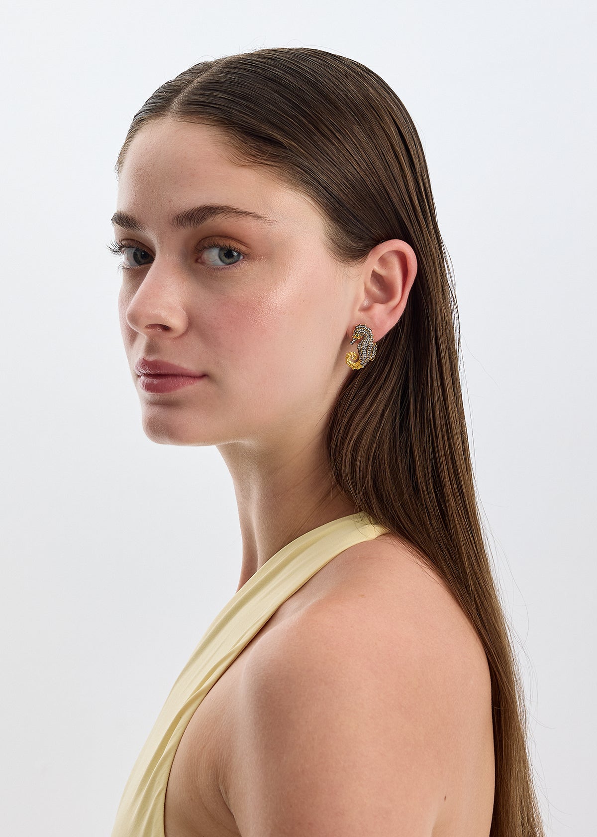 Slayt resmi