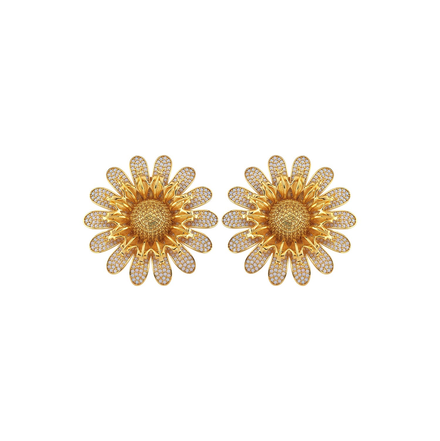 Slayt resmi
