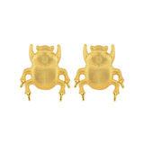 INSECT KÜPE