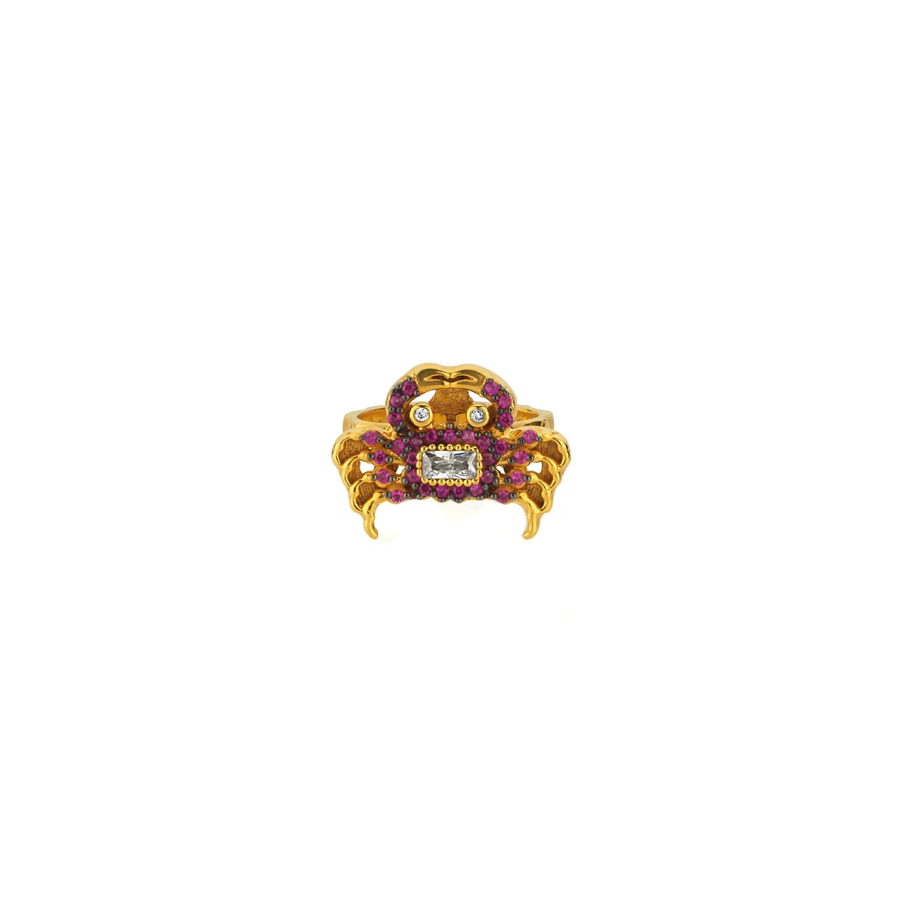 Slayt resmi