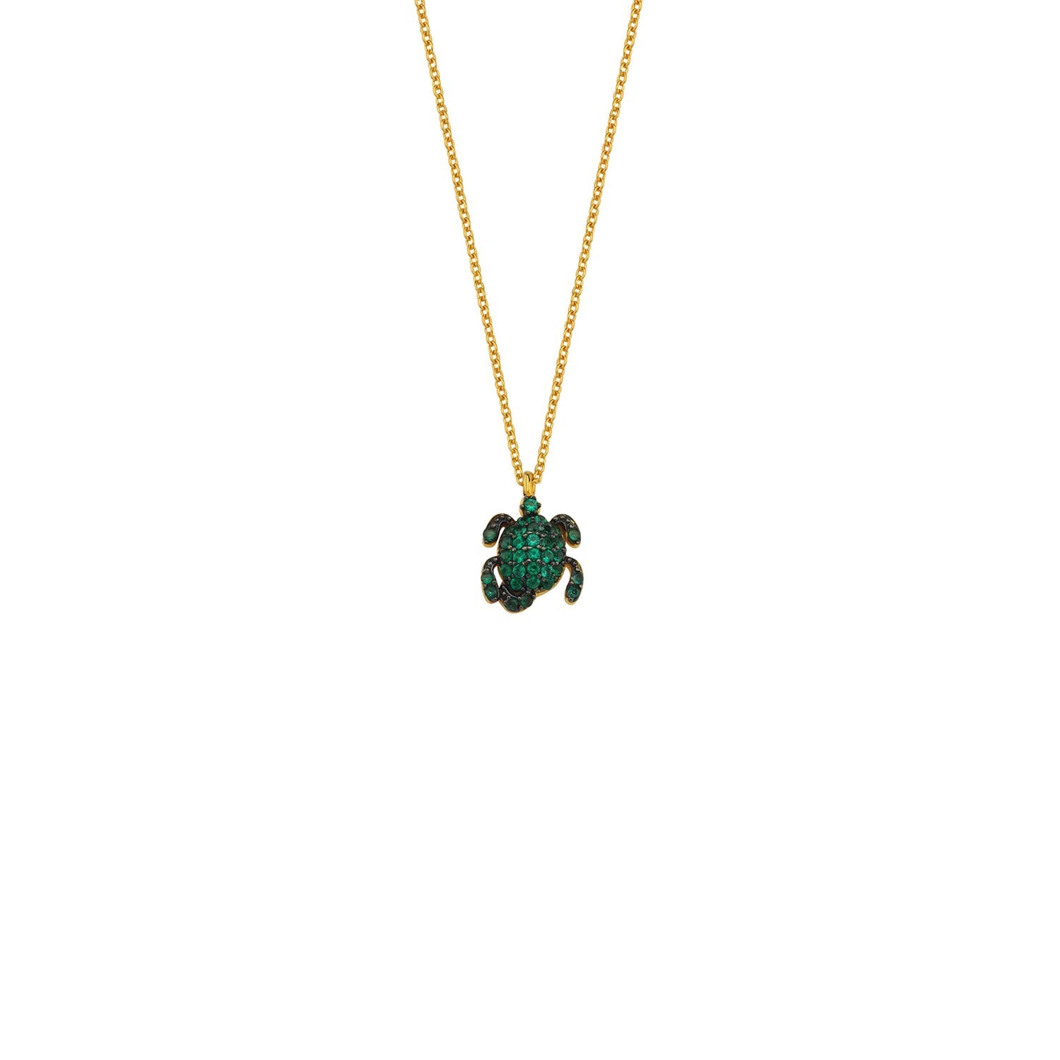 NANO TURTLE KOLYE