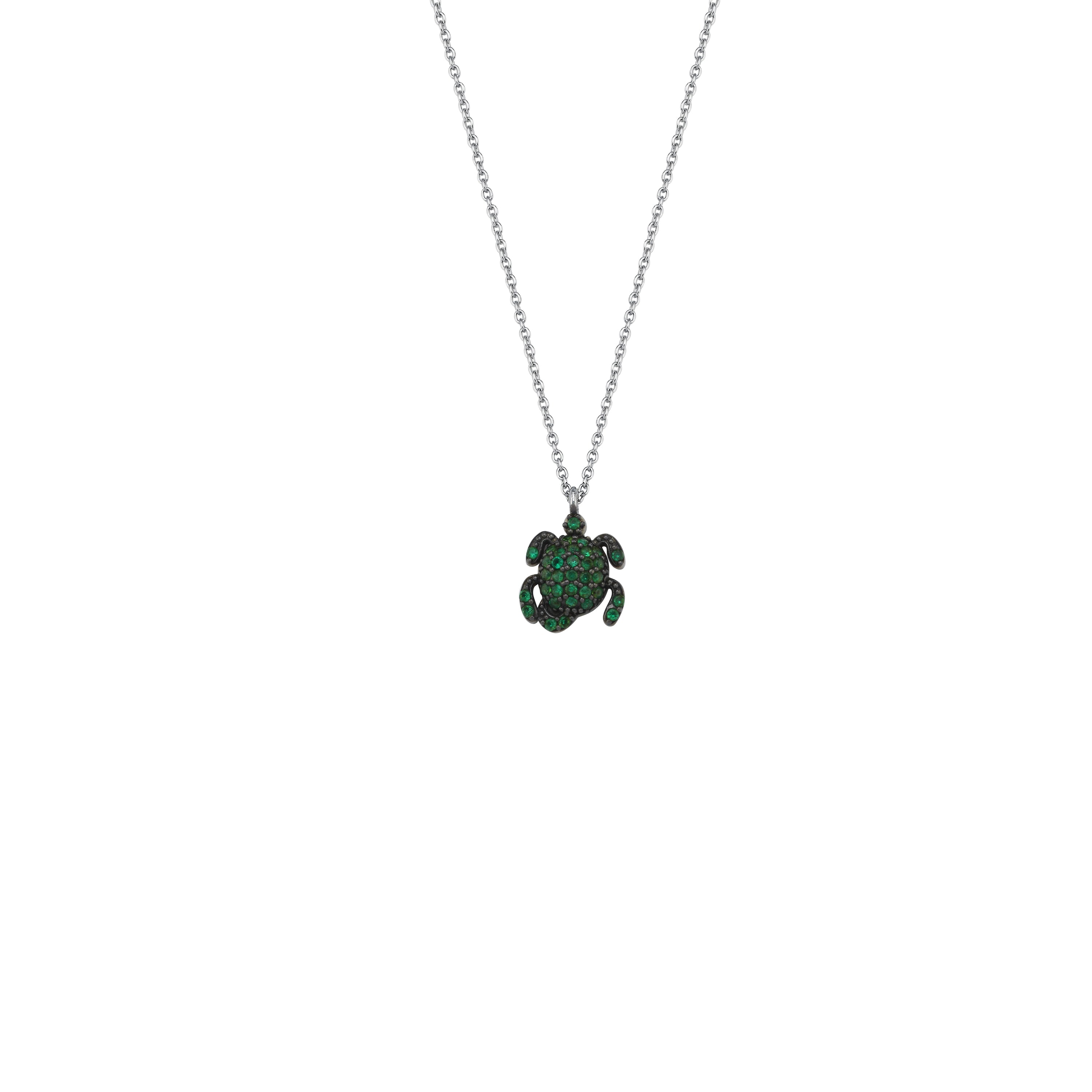 NANO TURTLE KOLYE