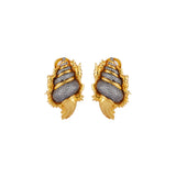 SHELL KÜPE