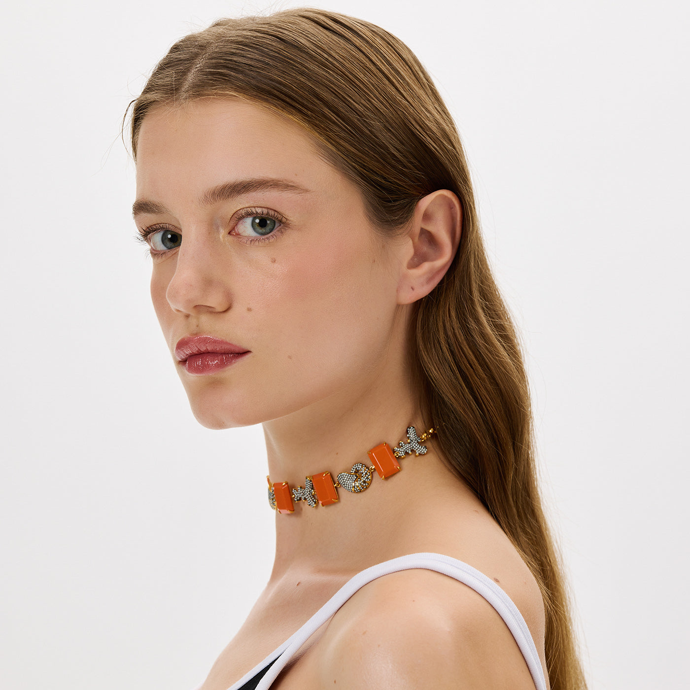 Slayt resmi