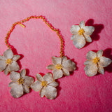 SINGAPORE ORCHIDS KÜPE