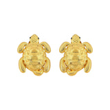 TURTLE KÜPE