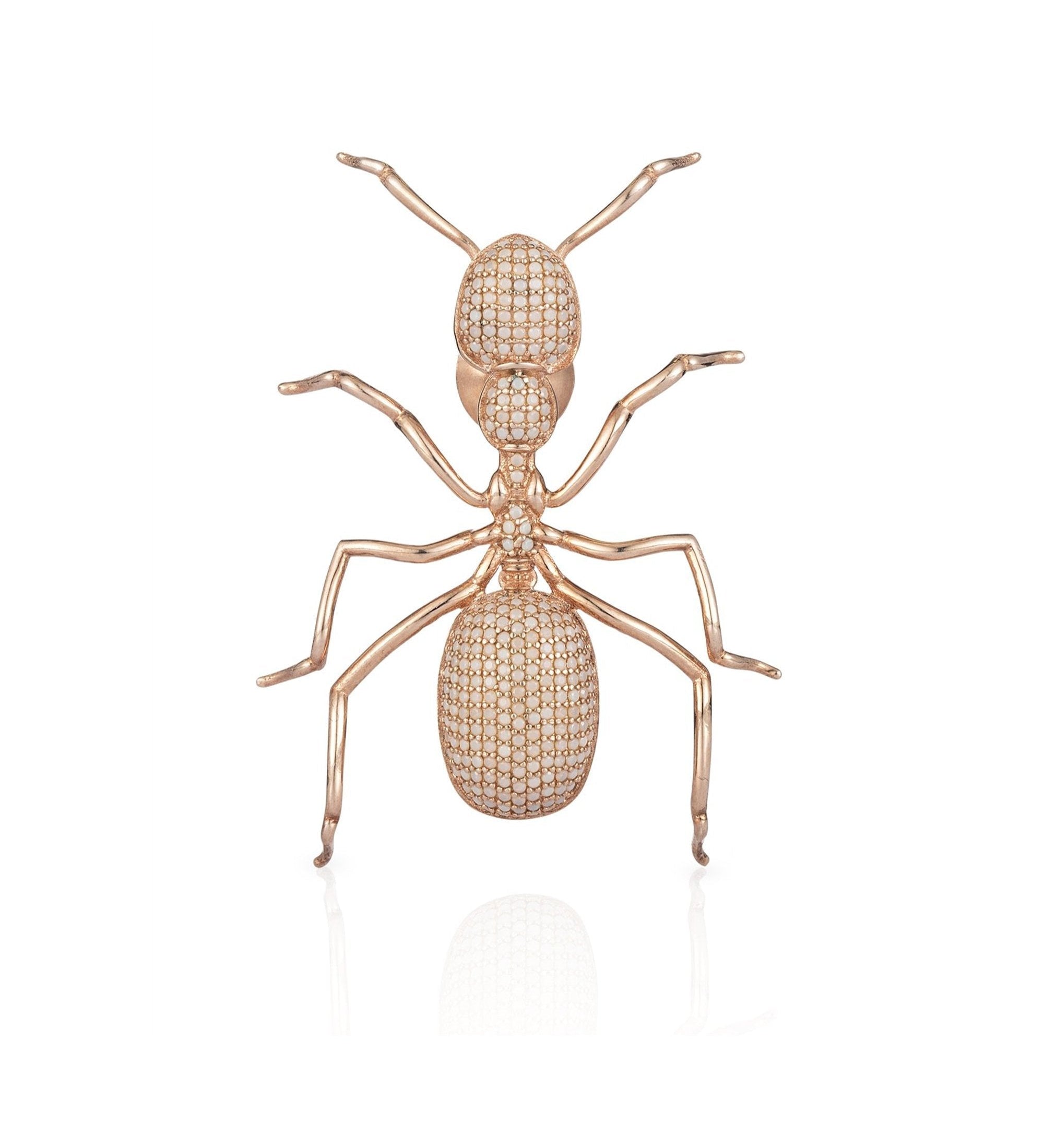 ANT BROŞ