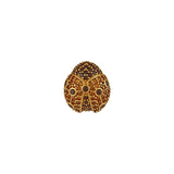 LADYBUG PİN