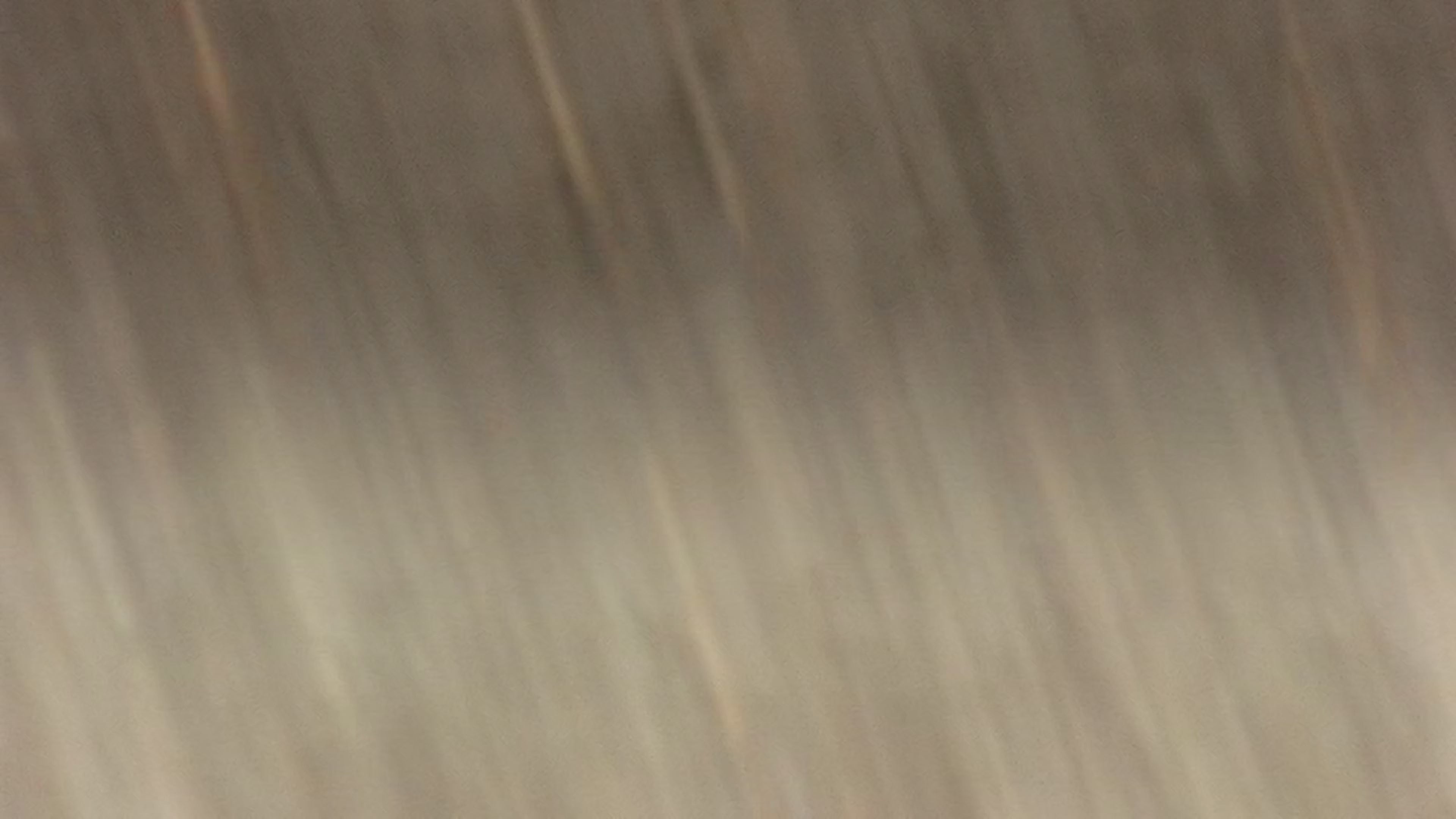 Slayt resmi
