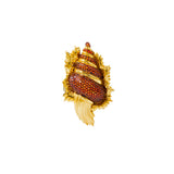 SHELL YÜZÜK